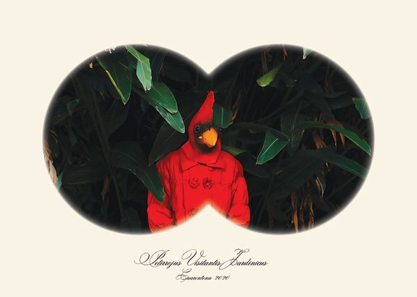 © Andrea Guedella - Image from the "Endangered Species" Series photography project