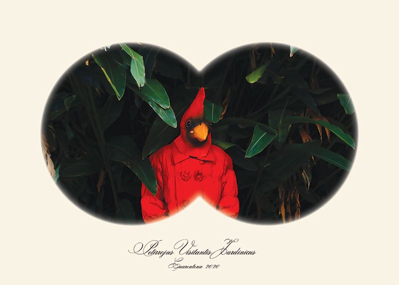 © Andrea Guedella - Image from the "Endangered Species" Series photography project