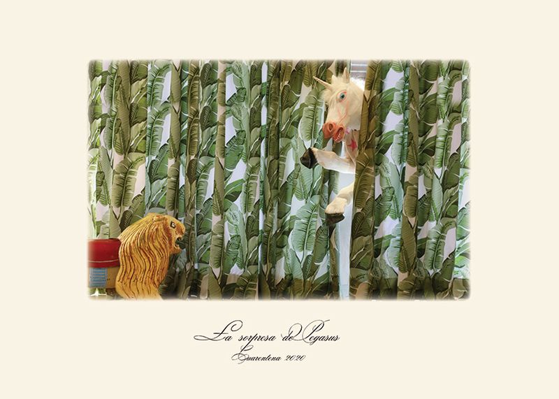 © Andrea Guedella - Image from the "Endangered Species" Series photography project