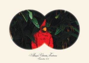 "Endangered Species" Series