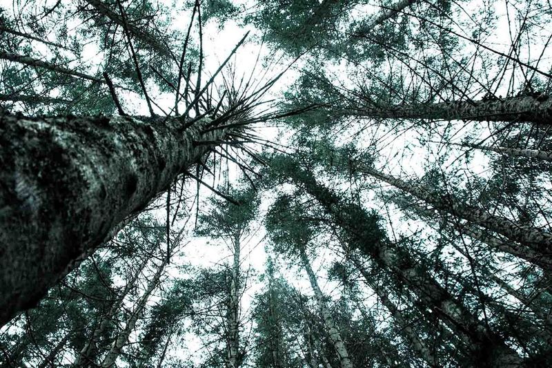 © Davies Zambotti - Image from the A Postcard For Norway photography project