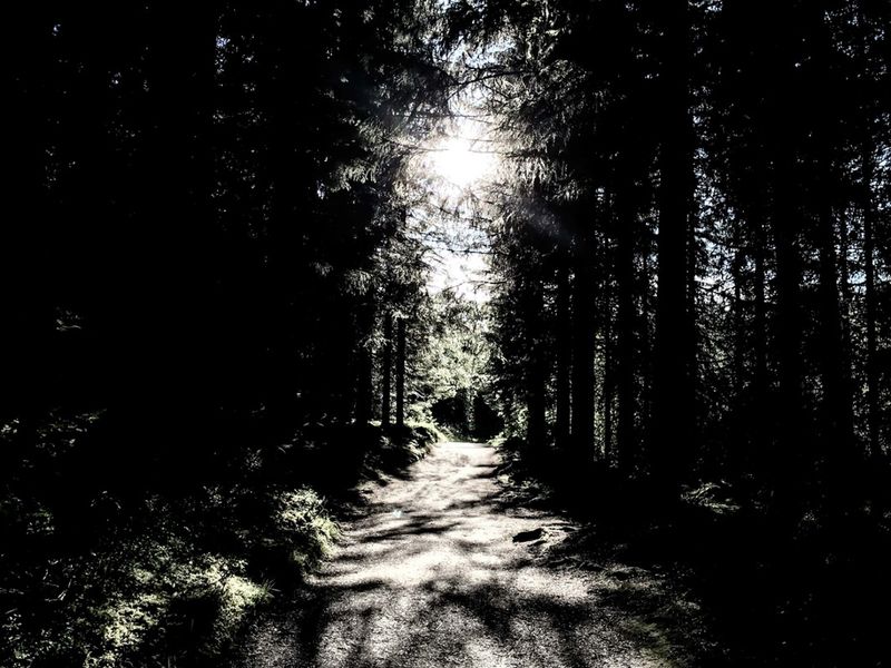 © Davies Zambotti - Image from the A Postcard For Norway photography project