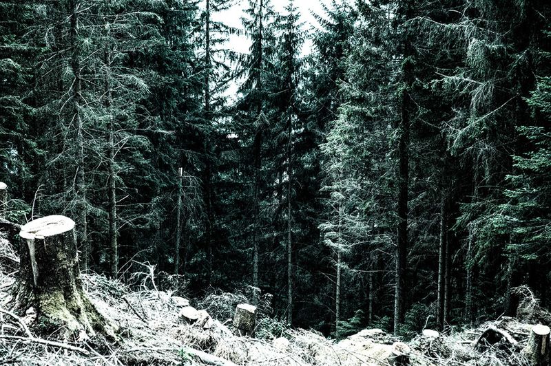 © Davies Zambotti - Image from the A Postcard For Norway photography project