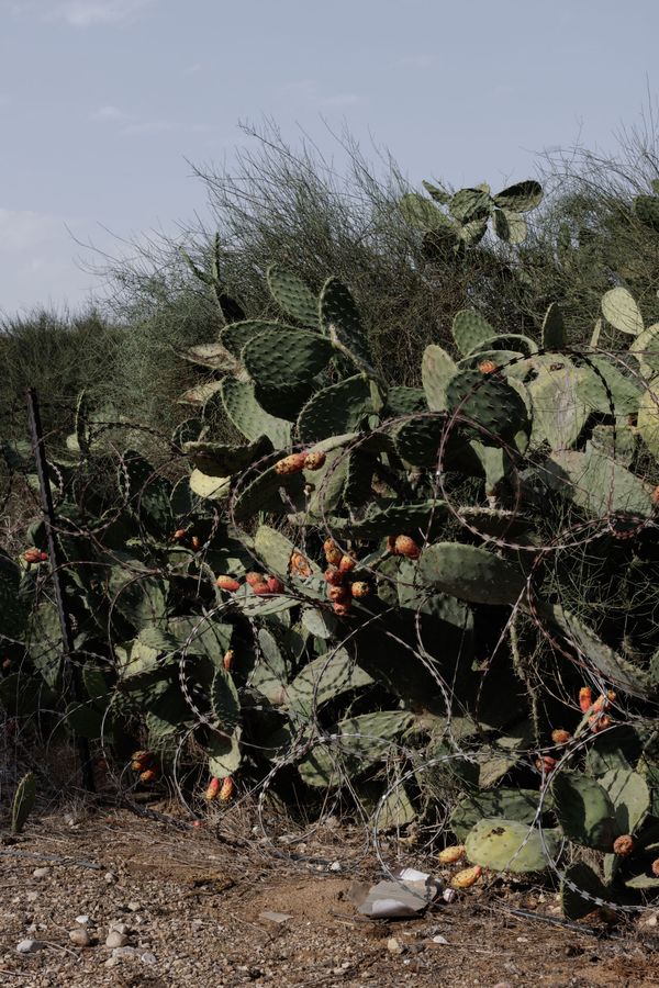 © valeriomuscella - Image from the Sabr - Daily life as resistance in the West Bank photography project