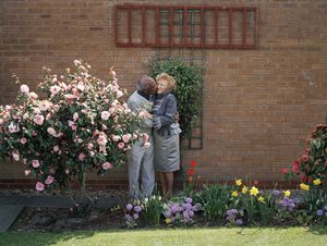 The Lovers 
