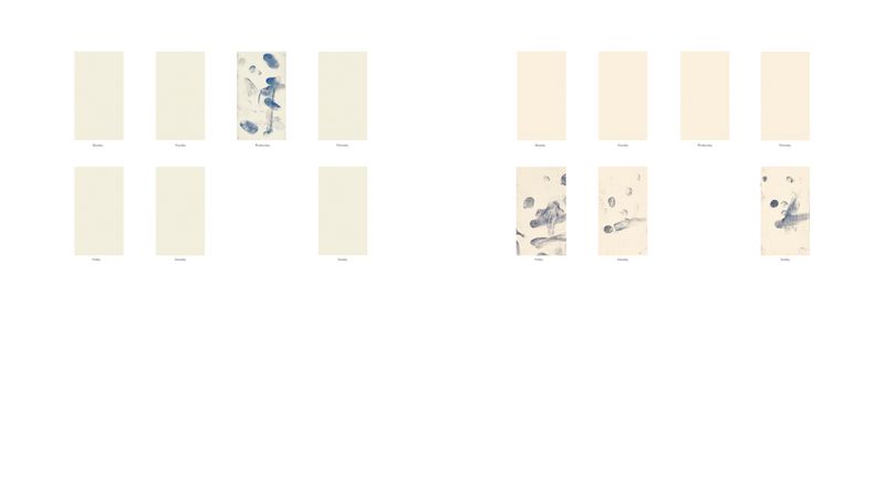 © Samuel Fordham - Image from the C-R92/BY photography project