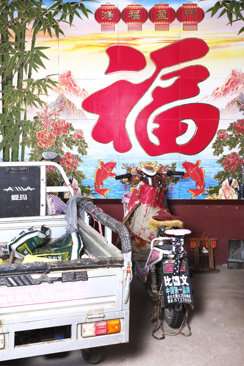 © Laurence Kubski - Image from the Crickets photography project