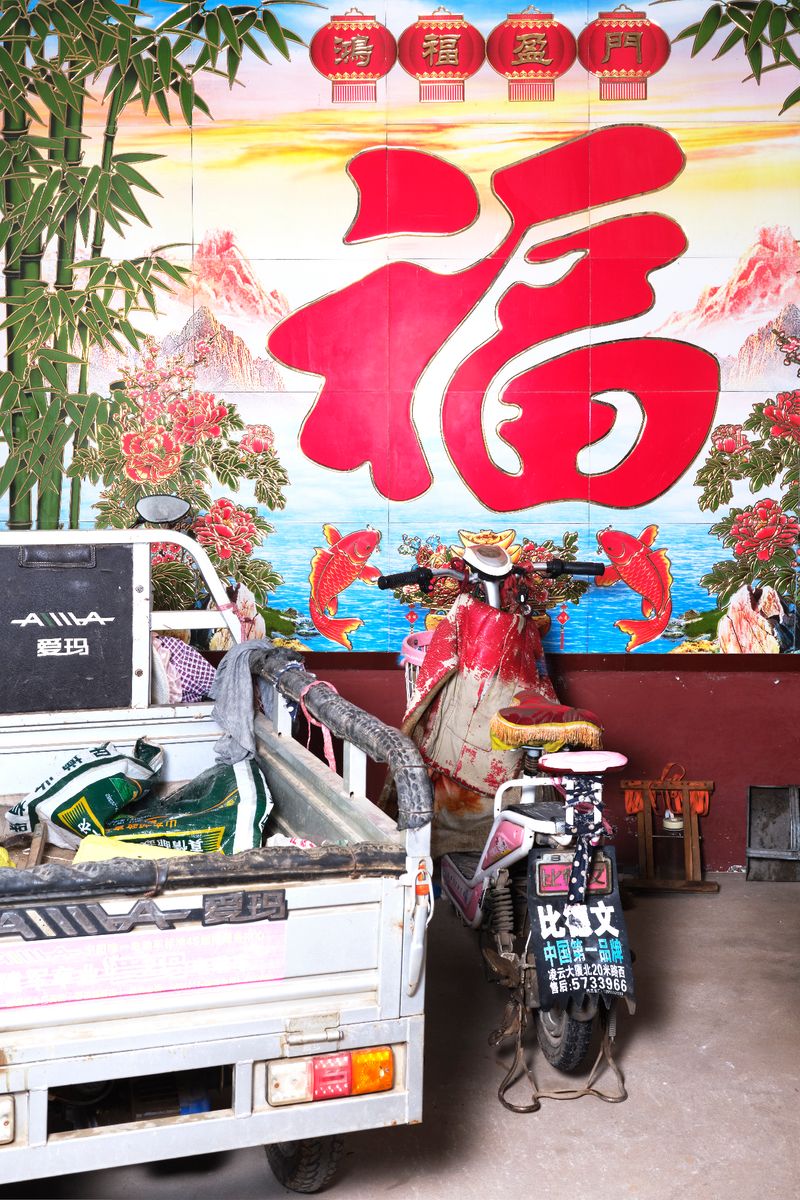 © Laurence Kubski - Image from the Crickets photography project