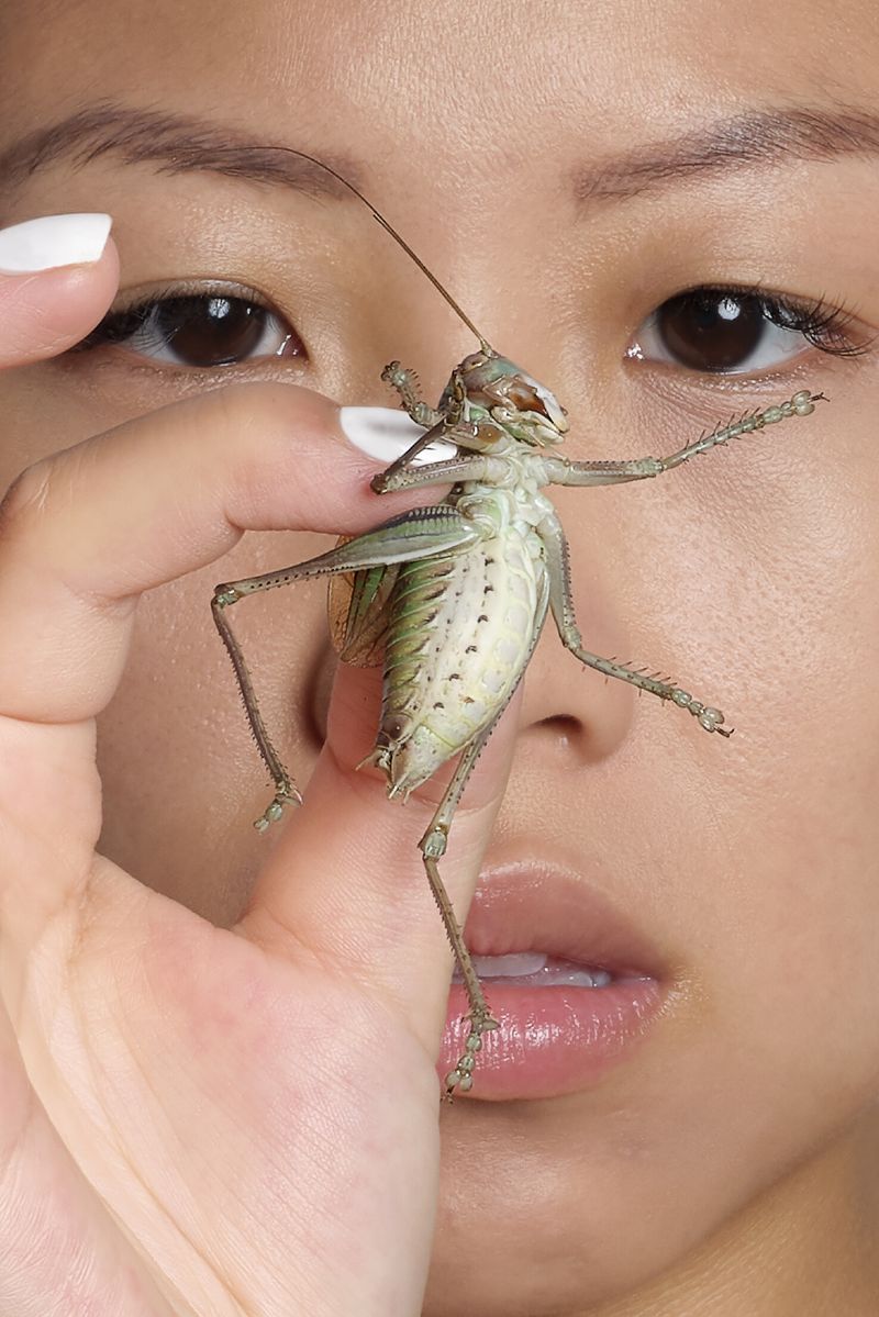 © Laurence Kubski - Image from the Crickets photography project