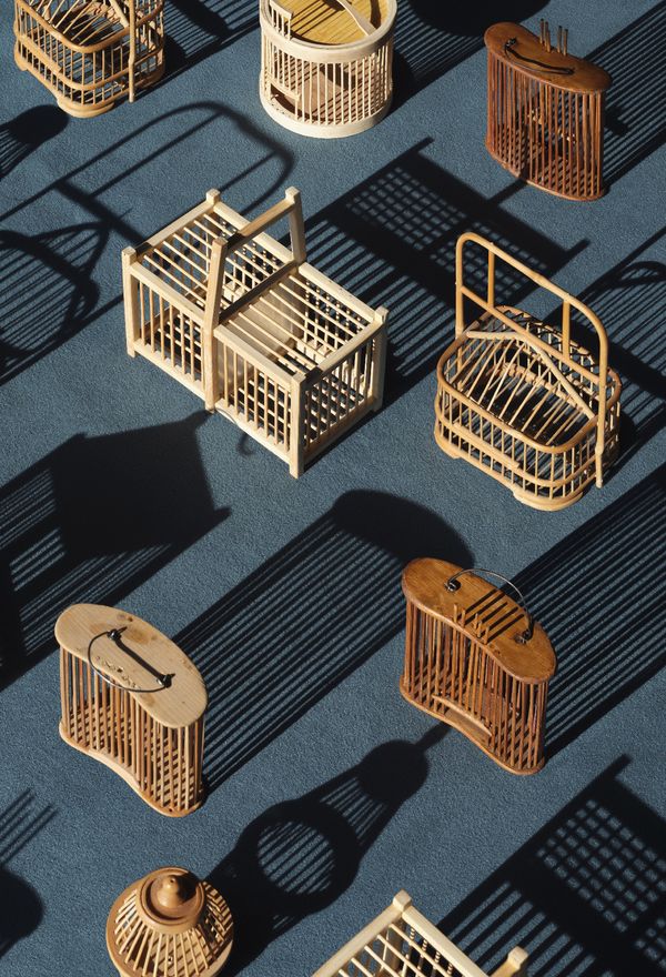 © Laurence Kubski - Image from the Crickets photography project