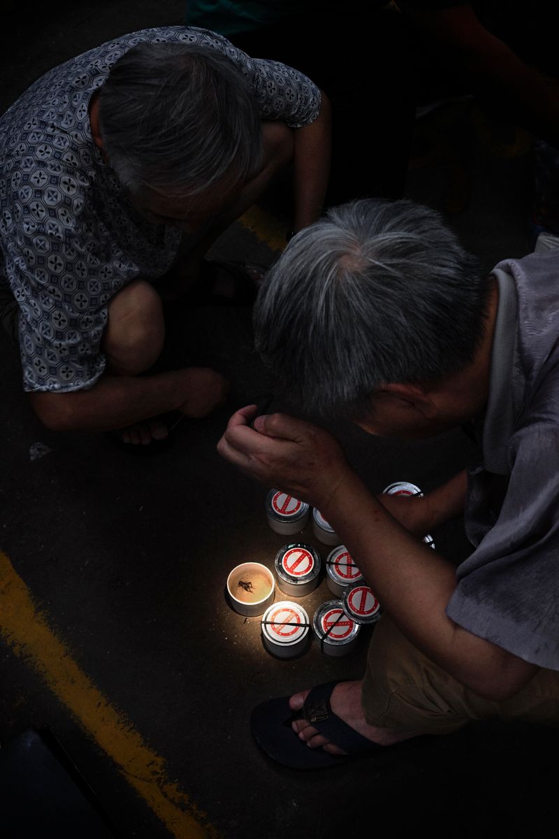 © Laurence Kubski - Image from the Crickets photography project