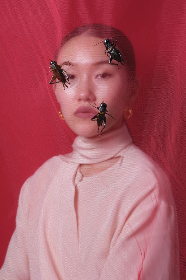 © Laurence Kubski - Image from the Crickets photography project