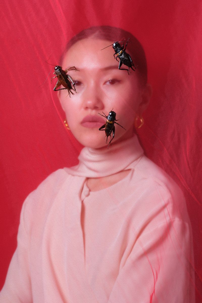 © Laurence Kubski - Image from the Crickets photography project