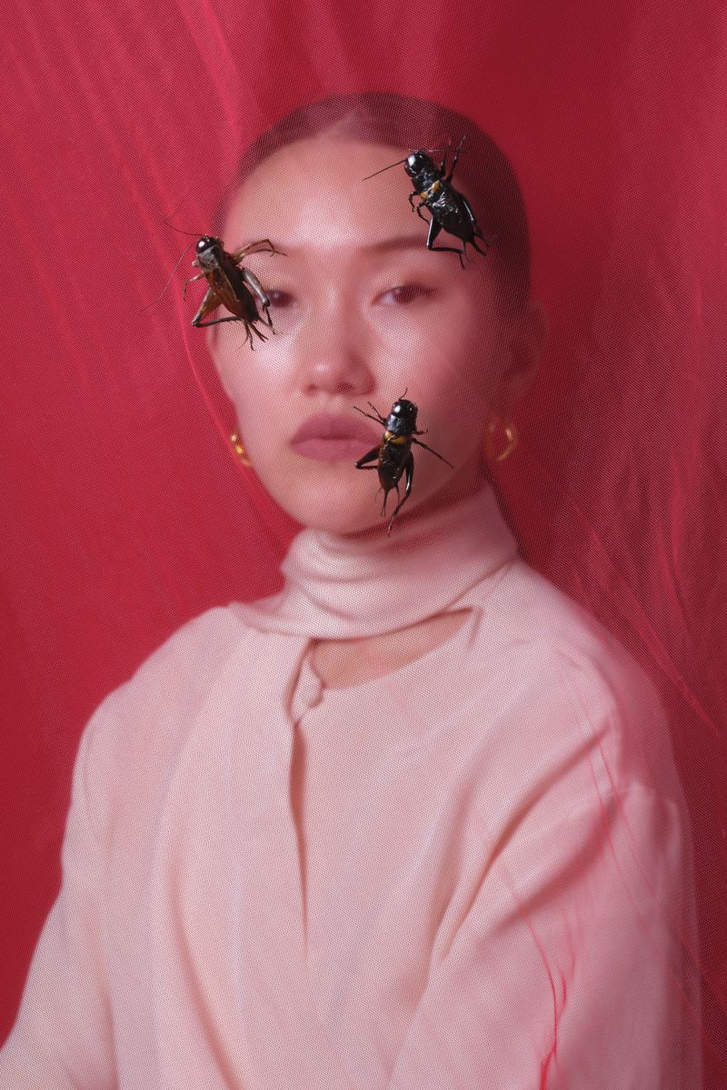 © Laurence Kubski - Image from the Crickets photography project