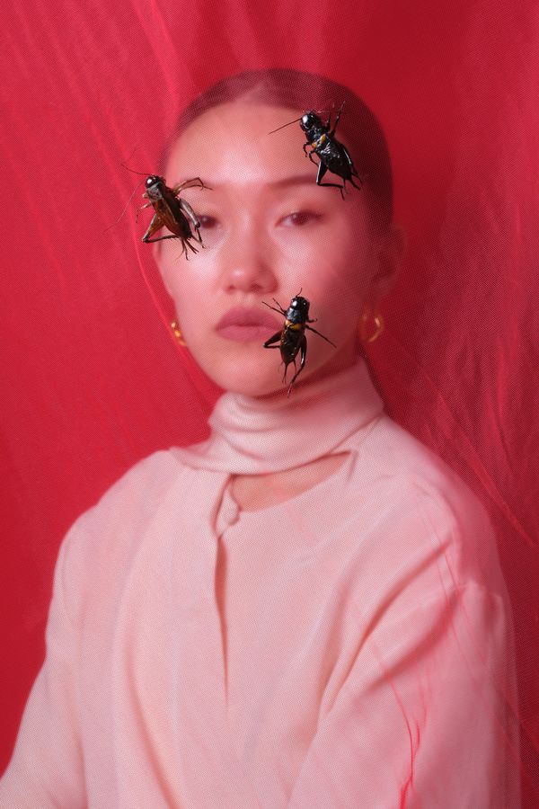 © Laurence Kubski - Image from the Crickets photography project