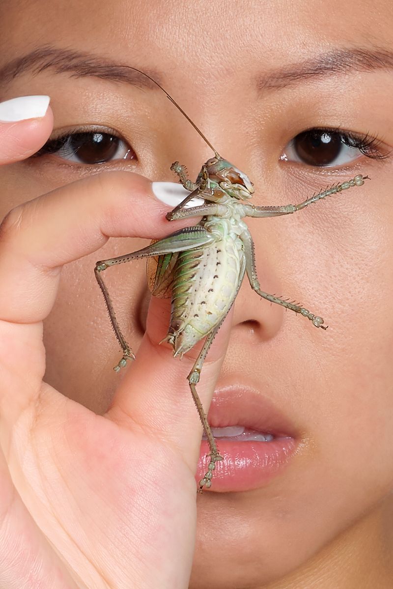 © Laurence Kubski - Image from the Crickets photography project