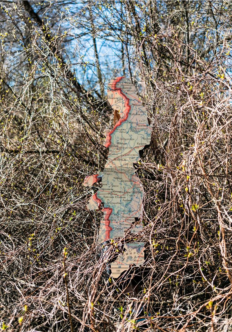 © Katerina Kouzmitcheva - Collage photo of the trees and archive map, reflecting the concepts of roots and identities, forming the person