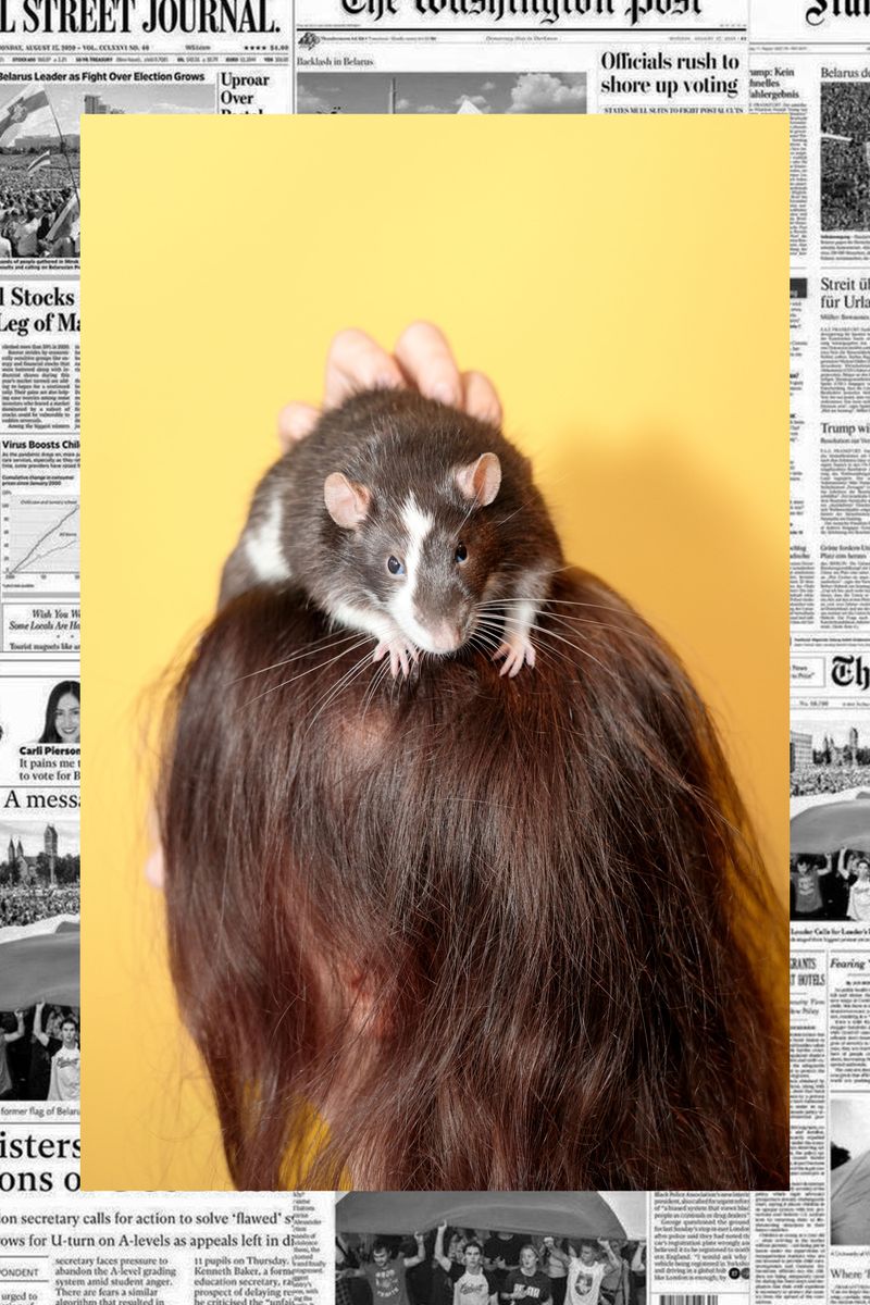 © Katerina Kouzmitcheva - UK: Not give a rat's ass