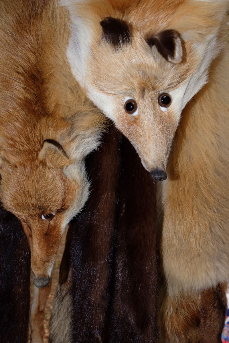 © Katerina Kouzmitcheva - Image from the Sorry for the lack of contact photography project