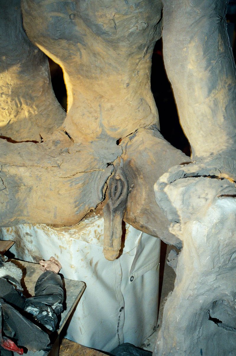 © Katerina Kouzmitcheva - Image from the Sorry for the lack of contact photography project