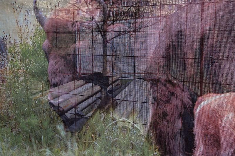 © Katerina Kouzmitcheva - Image from the How to eat at night photography project