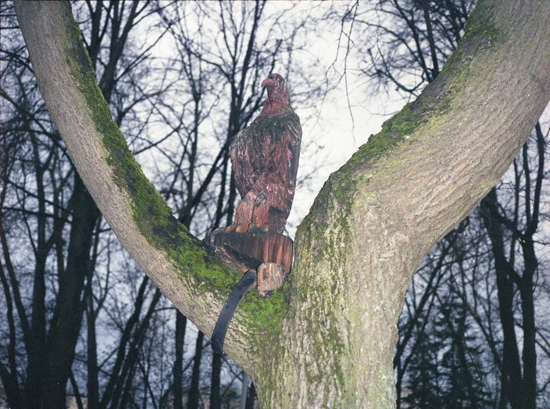 © Katerina Kouzmitcheva - Image from the How to eat at night photography project