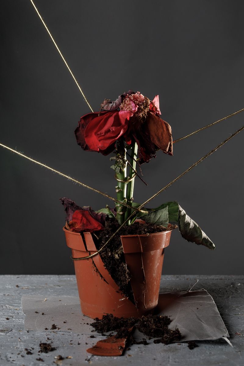 © Katerina Kouzmitcheva - Image from the How to eat at night photography project