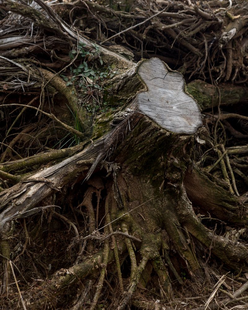 © Matteo De Mayda - Image from the Superstrada Pedemontana Veneta SPA photography project