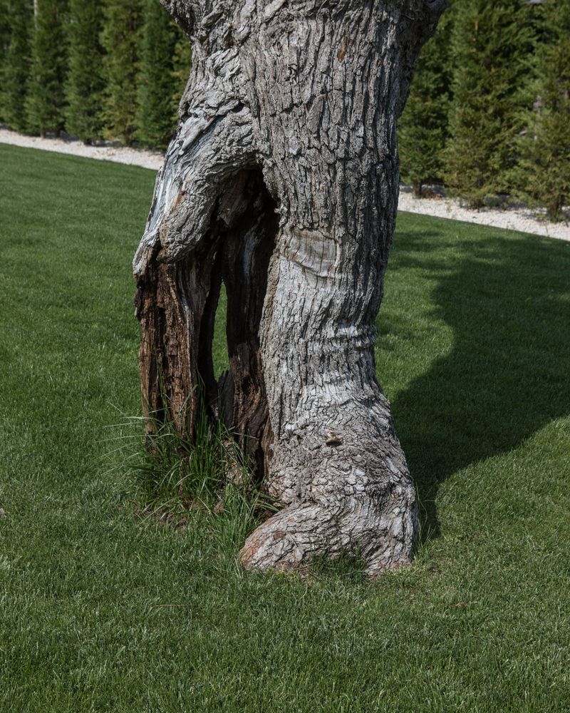 © Matteo De Mayda - Image from the Superstrada Pedemontana Veneta SPA photography project