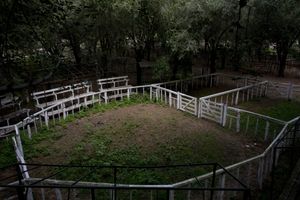 Soya landscapes