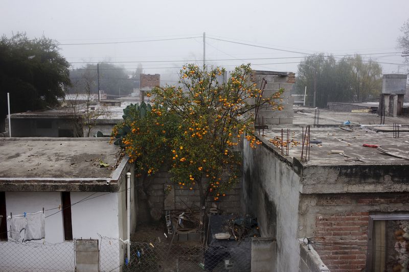 © Nicolas Pousthomis - Image from the Soya landscapes photography project