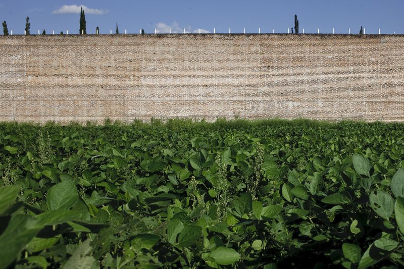 © Nicolas Pousthomis - Image from the Soya landscapes photography project