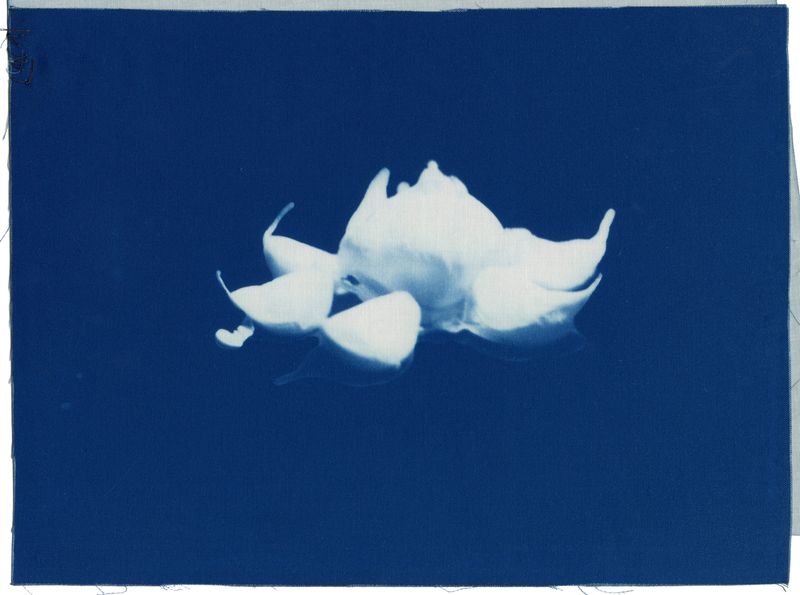 © Vanessa Leroy - Image from the there's a place i want to take you photography project