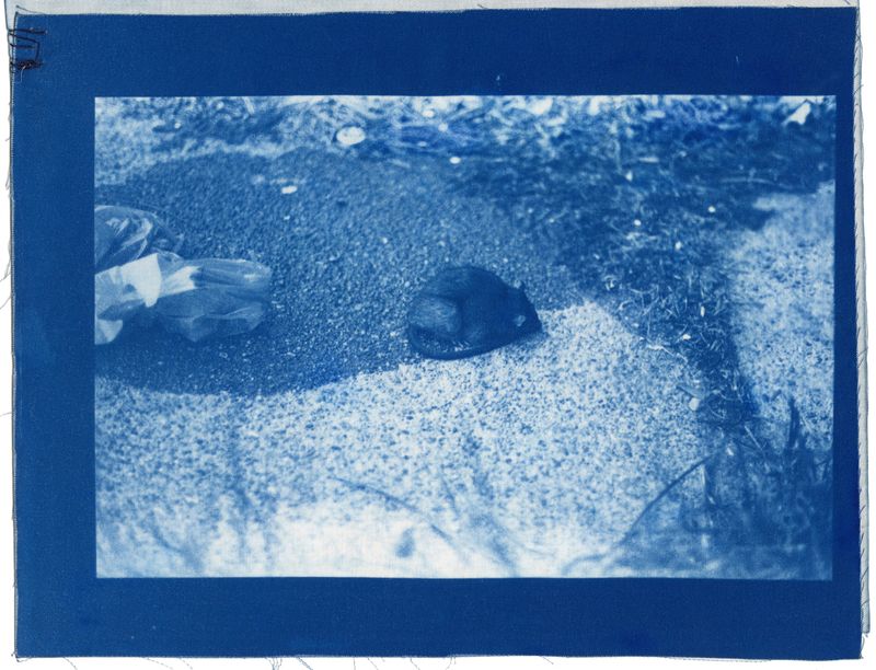 © Vanessa Leroy - Image from the there's a place i want to take you photography project