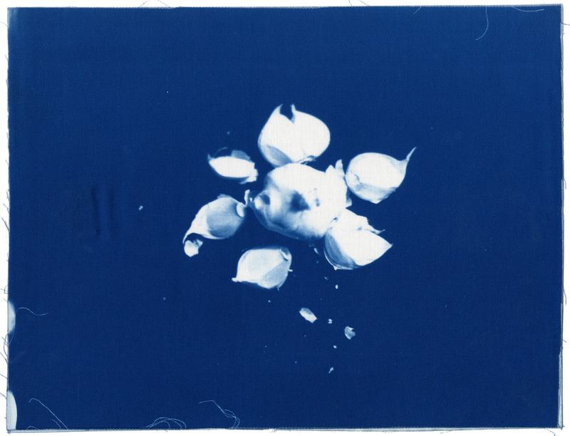 © Vanessa Leroy - Image from the there's a place i want to take you photography project