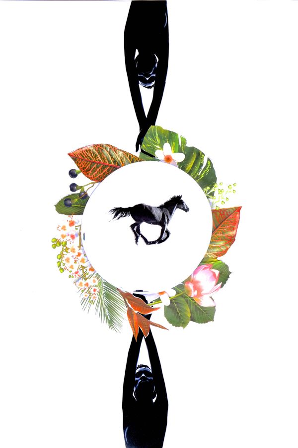 © BARBARA MINISHI - The 4th Dimension