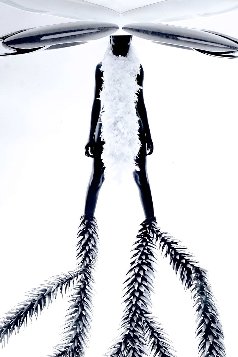 © BARBARA MINISHI - A Canon unto HerSelf.