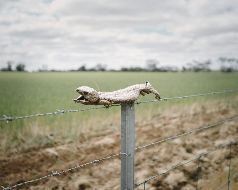 © Claudia Caporn - Image from the Just East of Now photography project
