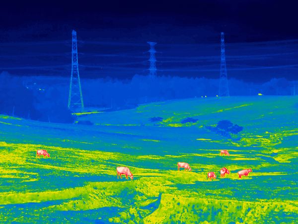 © Giles Price - Image from the Restricted Residence photography project