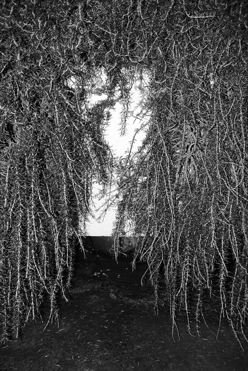 © Yiannis Trifonopoulos - Image from the What Lies Beneath photography project