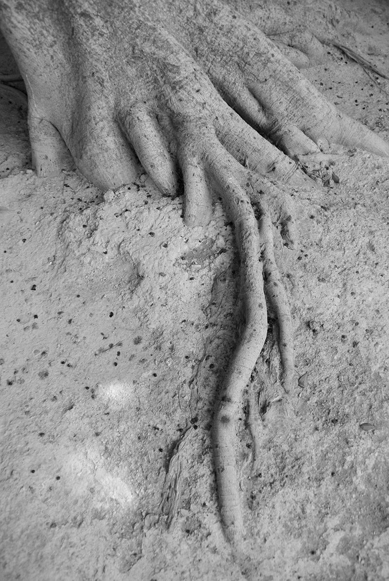 © Yiannis Trifonopoulos - Image from the What Lies Beneath photography project