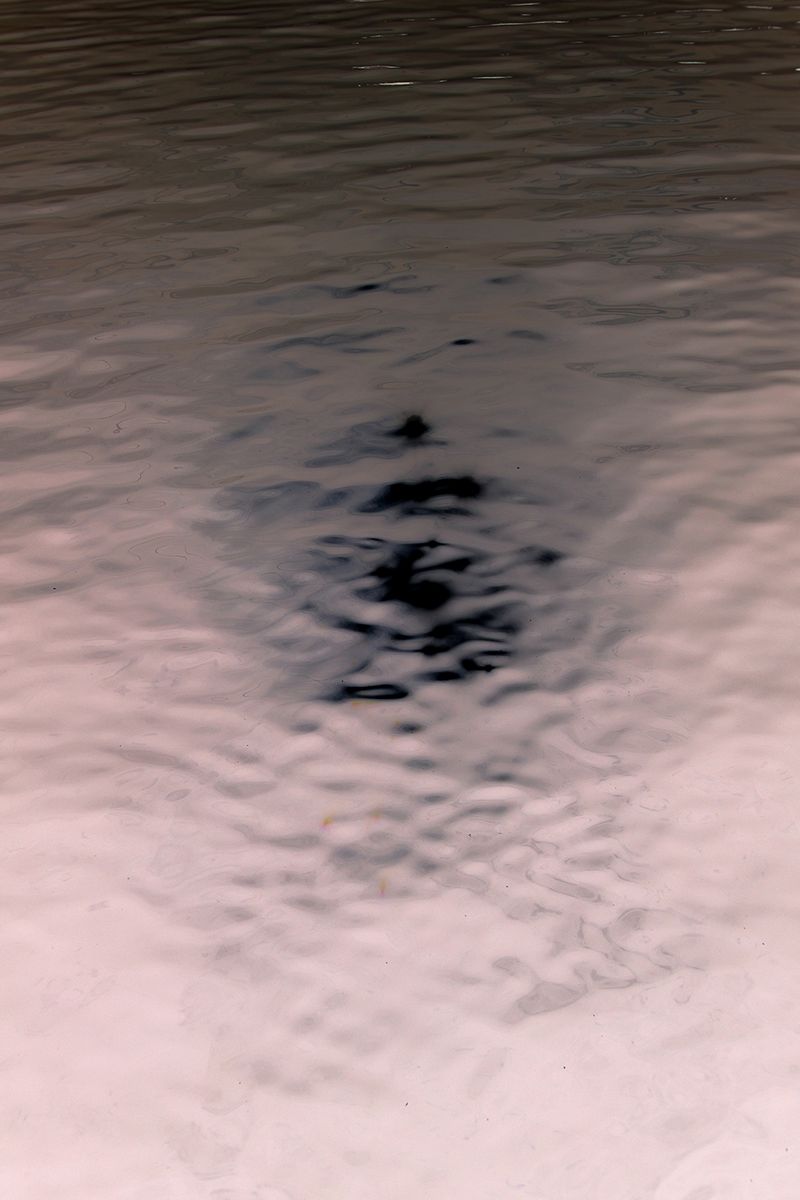 © Yiannis Trifonopoulos - Image from the The Sunken Place photography project