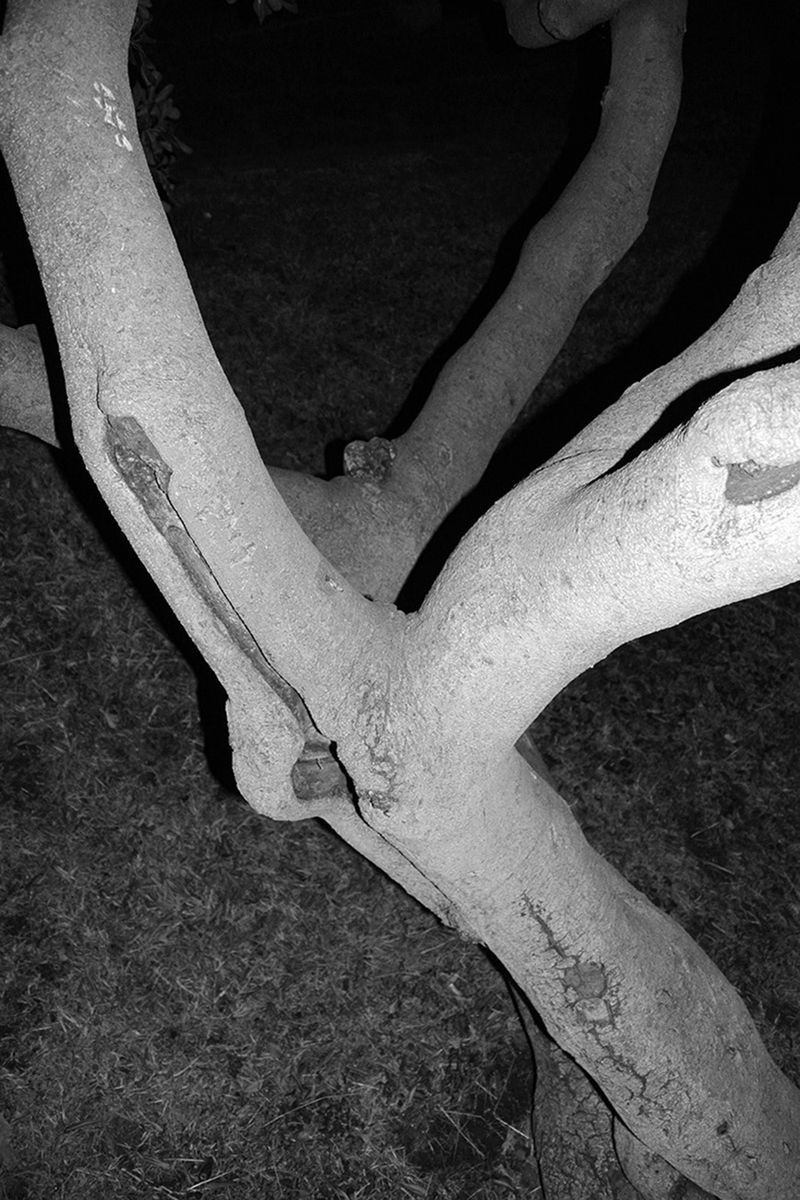 © Yiannis Trifonopoulos - Image from the What Lies Beneath photography project