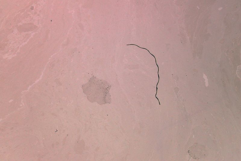 © Yiannis Trifonopoulos - Image from the Autotoxemia photography project