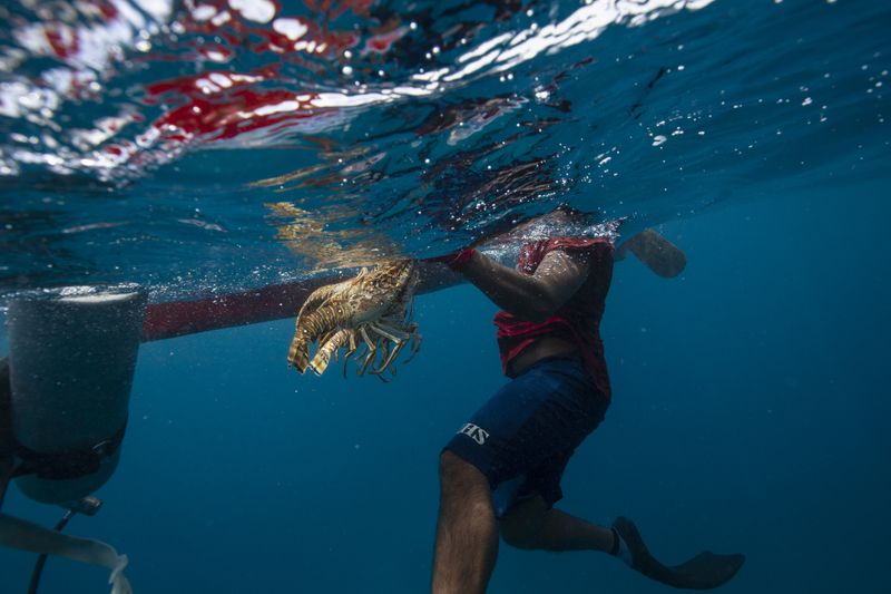 © RODRIGO ABD - Image from the MISKITO DIVERS photography project