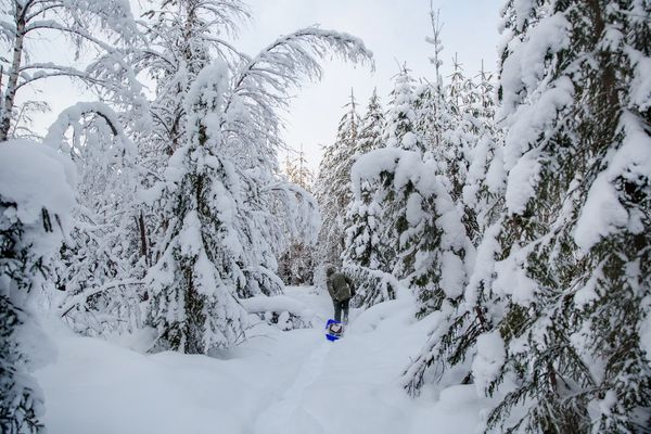 © Touko Hujanen - Image from the Forest Family photography project