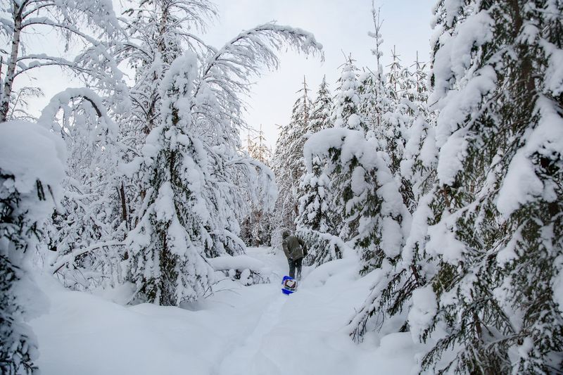 © Touko Hujanen - Image from the Forest Family photography project