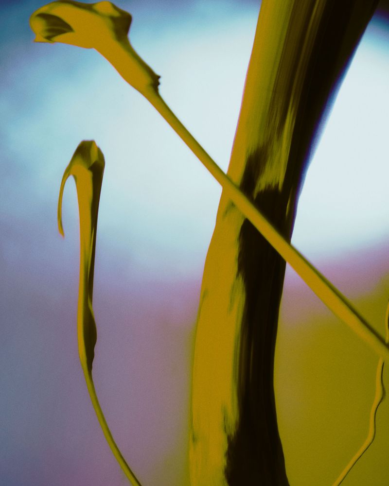 © Matthieu Croizier - Image from the That moment when you can see the crack in the world photography project