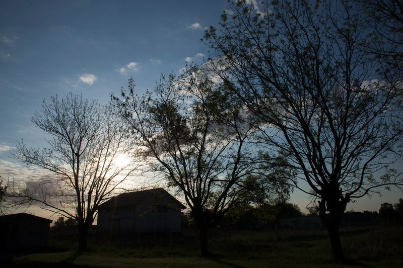 © Arlette Montilla - Image from the I will wait photography project