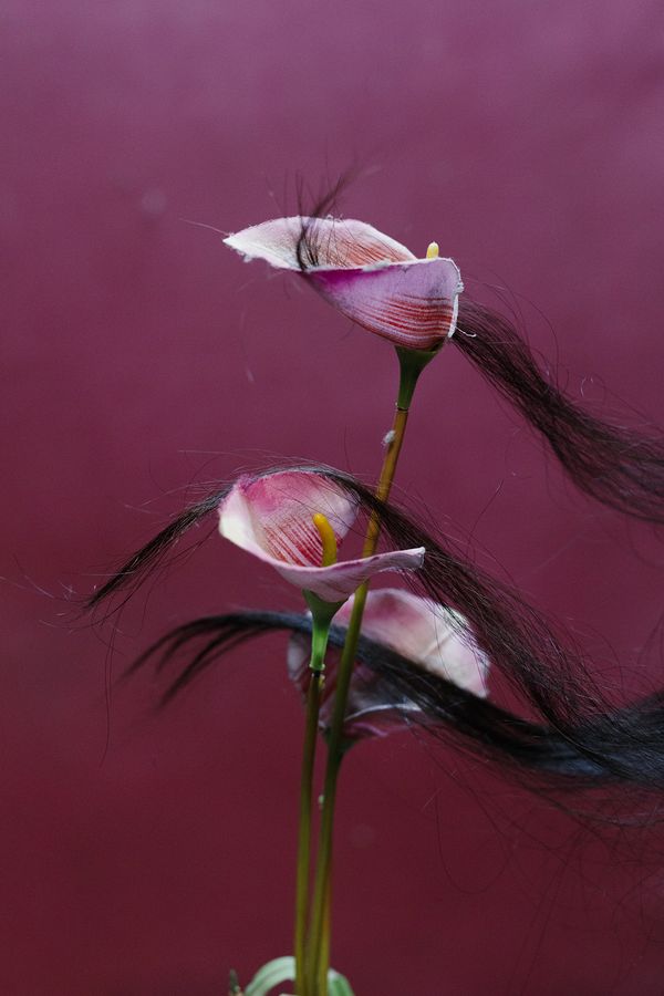 © Yana Wernicke - Image from the Bombay Dream photography project